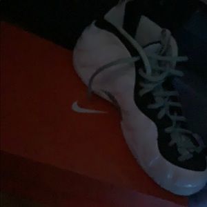 Phomeposite